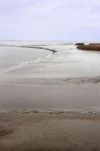 Low tide, mudflats, Dollart, Nieuwe Statenzijl, Netherlands