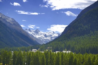 Snow Capped Mountain in Valley and Green Forest in a Sunny Day in Engadine, Grisons, Switzerland,