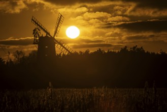 Windmill silhouette at sunset with a red sky and clouds behind and reedbed in the foreground,