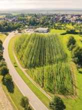 Aerial view of an agricultural field on the outskirts of a town, surrounded by roads and green