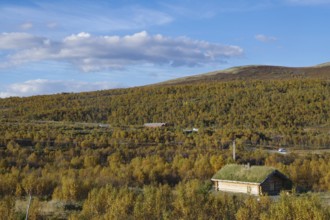 A hut with a grassy roof in an autumnal forest landscape, blue sky with a few clouds, E 6,