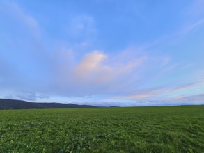 Wide green field under a blue sky with clouds during sunset, Mönchberg, Mltenberg, Spessart,