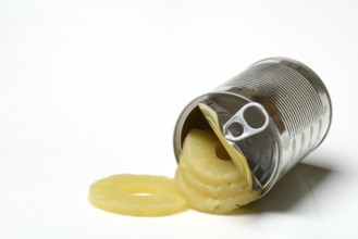 Pineapple rings in tins, Ananas sativus