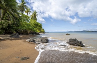 Tropical beach, South Pacific, Osa Peninsula, Punterenas Province, Costa Rica, Central America