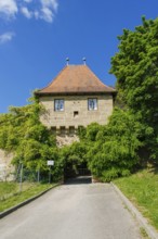 Hohenbeilstein Castle, hilltop castle, Beilstein, Heilbronn district, Baden-Württemberg, Germany,