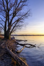 Sunset at the Lake Ammer, near Aidenried, Fünfseenland, Upper Bavaria, Bavaria, Germany, Europe