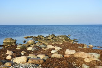 Stony beach on the island of Fehmarn on a calm, sunny day, Baltic Sea coast near Wallnau, East