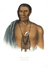 American Indian, Native American, Tish-Co-Han, Chief of the Delaware Tribe, United States of