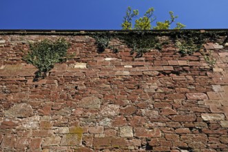 Heidelberg castle ruins, destroyed in 1689, fortress wall, castle courtyard, Heidelberg,