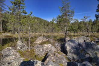 Small spur of Lake Inari, Lapland, Finland, Europe