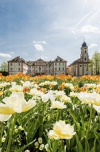 Mainau Castle and St Mary's Castle Church, Mainau Island, Lake Constance, Baden-Württemberg,