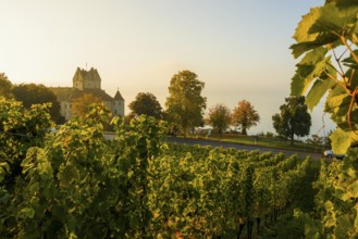 Meersburg Castle, Old Castle, Sunrise, Meersburg, Lake Constance, Baden-Württemberg, Germany,