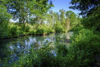 Moor adventure trail, nature conservation centre, Pfrunger-Burgweiler Ried nature reserve,