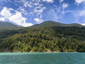 Lake All Saints, Lago Todos Los Santos, Llanquihue region, Chile, South America