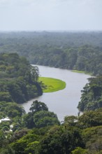 View of the river and rainforest from Cerro Tortuguero, Tortuguero National Park, Costa Rica,