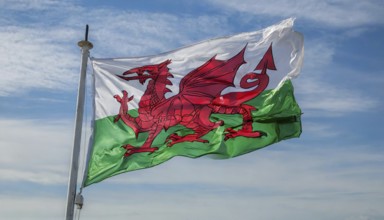 The flag of Wales, Great Britain, flutters in the wind