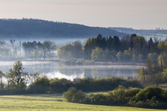 Morning mist over Lake Ruschweiler, Illmensee, Morrsee, spring, Linzgau, Baden-Württemberg,