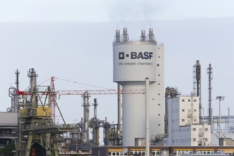 BASF, Lugwigshafen am Rhein, industrial area, Mannheim, Baden-Württemberg, Germany, Europe