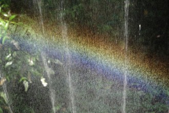 Small rainbow during watering, September, Germany, Europe