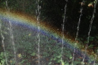 Small rainbow during watering, September, Germany, Europe