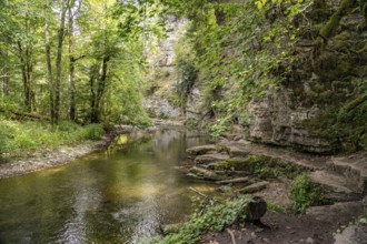 Rock face and the river Wutach in the Wutach Gorge, Black Forest, Baden-Württemberg, Germany,