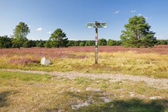 Ancient and modern signpost on the edge of the blooming Lüneburg Heath, Lower Saxony, Germany,