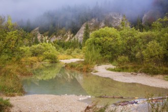 Isar valley nature conservancy area. The wild Isar river flows through its gravel bed past