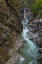 The Lammer creek is flowing fast through the Lammerklamm on a sunny hiking day