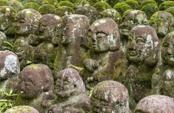 Moss-covered stone statues of rakans, the disciples of Buddha, Otagi Nenbutsu-ji temple, Kyoto,