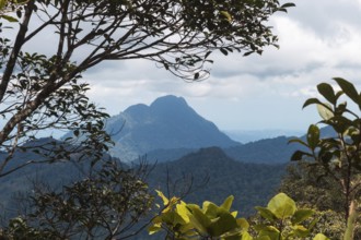 High mountain and cloudy sky in the jungle. Malaysia