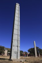 Tigray region, in the stelae park of Axum, Aksum, ancient cemetery of the Axumite kings, upright