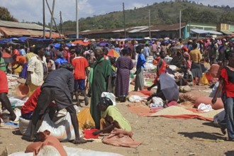 South Ethiopia, market in Jinka, trade with corn and spices, market scene, Ethiopia, Africa