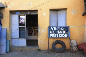 Aksum, Axum, Business, Ethiopia, Africa