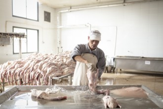 Production of salted ducks in the Nan Jing Ying Tao Yo Co. Ltd. factory, for consumption in