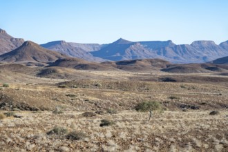 Table mountains, barren dry desert landscape, Damaraland, Kunene, Namibia, Africa