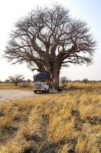 Four-wheel drive vehicle with opened roof tent on a campsite near a baobab, yellow grass and