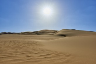 Sunny desert landscape with sand dunes under a clear blue sky, Matruh, Great Sand Sea, Libyan