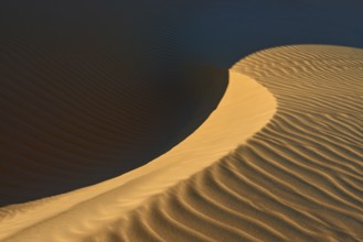 Sand dunes with soft shadows and glowing light accents in a desert landscape, Matruh, Great Sand