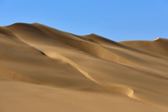 Sand dunes under a blue sky, conveying a calm and vast desert landscape, Matruh, Great Sand Sea,