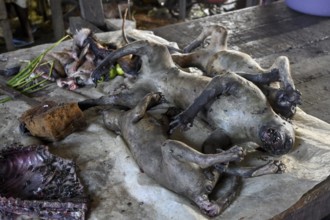 Bushmeat at a market, monkey meat, poaching, Ouésso, Sangha department, Republic of Congo