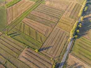 Aerial view, Cultivated fields, Agriculture, Landscape, Kyrgyzstan, Asia