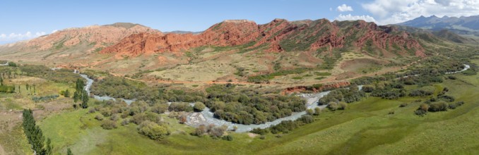 Aerial view, Djuku River and red rock formations, sandstone cliffs, Jeti Oguz, Tien Shan Mountains,