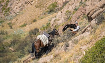 Traditional Kyrgyz eagle hunter with eagle in the mountains, hunting on horseback, near Kysyl-Suu,