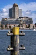 Harbour basin of the Maashaven, inland waterway port, jetties, residential buildings in the Kop van