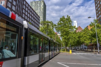 Urban greening, inner-city street Laan op Zuid, in Rotterdam's Feijenoord district, 4 lanes, 2 tram