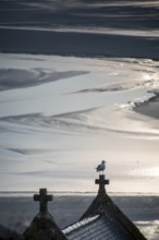 Seagull sitting on a cross at low tide, monastery island Le Mont Saint Michel in the Wadden Sea, Le