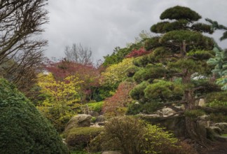 Landscape, park, trees, shrubs, plants, Japanese garden, Freiburg im Breisgau, Germany, Europe