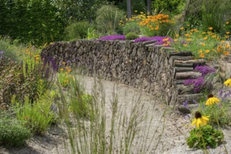 Perennial beds, Burgsteinfurt district educational garden, Münsterland, North Rhine-Westphalia,