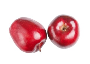 Two red apples isolated on white background. closeup