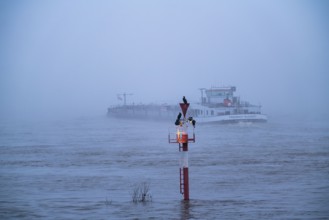 Dense fog, Rhine near Düsseldorf, cargo ship travelling south, very low visibility, navigation